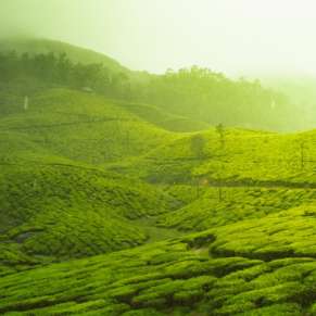 Explore Monsoon Kerala