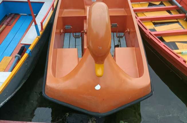 4 Seater Paddle Boat