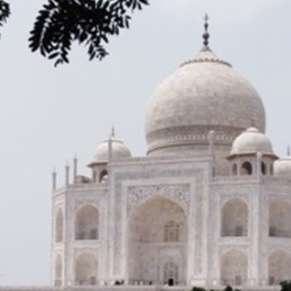 Taj Mahal and Agra Fort Experience