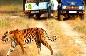 7-Days Golden Triangle with Ranthambore and Pushkar Tour includes accommodation with Vehicle 