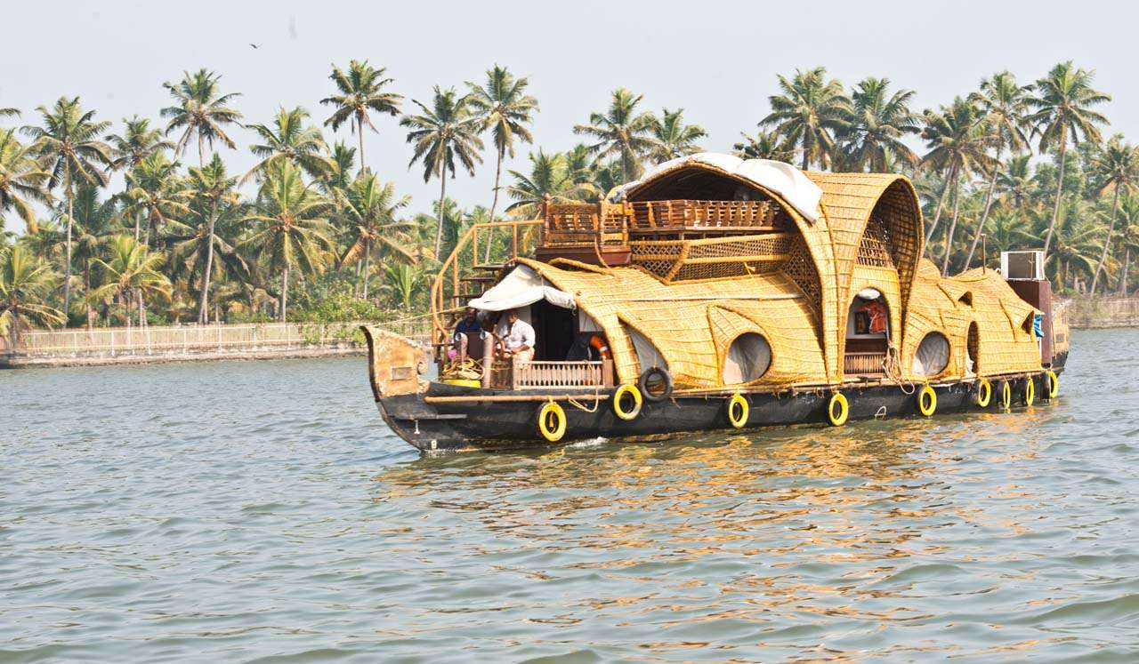 Shikara Boat Ride on Kerala's Backwaters – One of the Best Places to Visit in India!